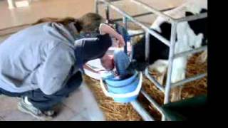 A little doubt went a long way in high school