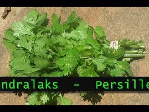 Tundralaks-Persille
