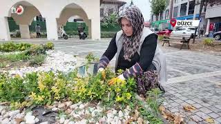 Düzce’nin Park ve Bahçeleri Onlara Emanet