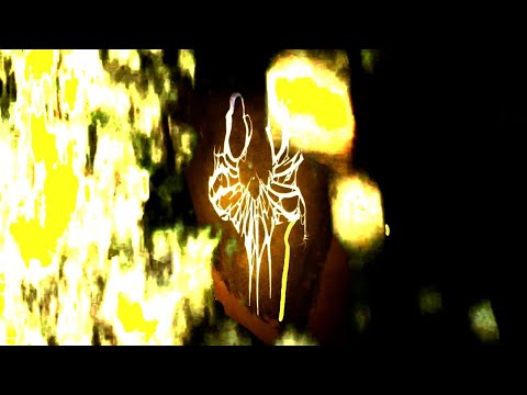 dreamweaver - goliath