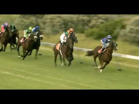 WARRIOR - WORLD SPORTS BETTING VARIETY CLUB MILE (Grade 3)