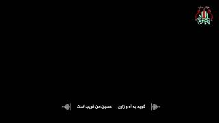 در حسرت زيارت