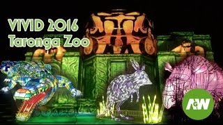 Vivid Sydney  - Vivid Taronga Zoo - Vivid 2016 Festival Light Show “Be the Light for the Wild”