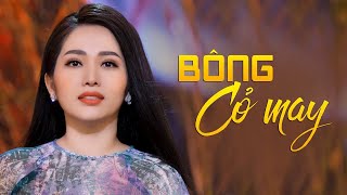 Bông Cỏ May & Tuổi Nàng Mười Lăm - Ngọc Diệu