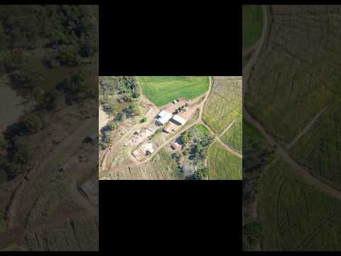 Fazenda à Venda em Borrazópolis PR: 123 Alqueires - Dupla Aptidão