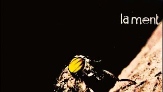 The Cure - Lament (LYRICS ON SCREEN) 📺