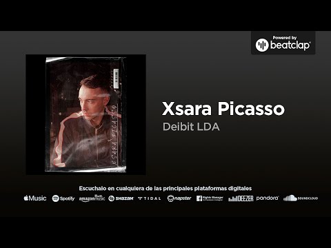 Deibit LDA - Xsara Picasso