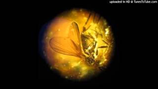 Don't Stop Amber!  Sublime vs  Brazilian Girls   Stephen Mix