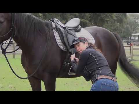 Beginner Riders Most Common Mistakes, Part I