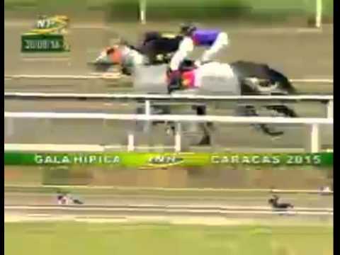 LA RINCONADA 1 CARRERA, DOMINGO 30 DE AGOSTO DEL 2015