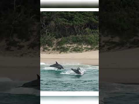 📍GweGwe Lodge, Wild Coast