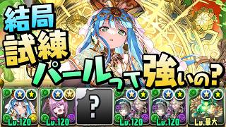 愚かな負け方をした男、怒りのEXラッシュリベンジ【パズドラ】