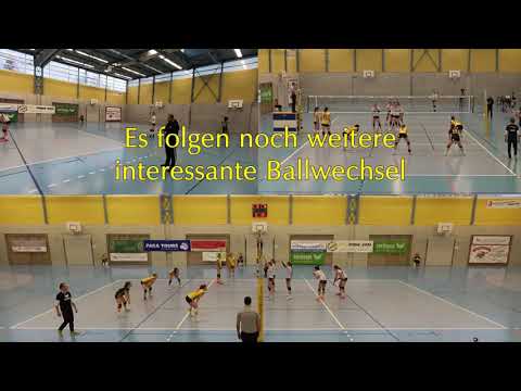 19-11-13 VB Therwil (NLB) - ZESAR VFM (NLA) (Cupspiel, 3 Ansichten)