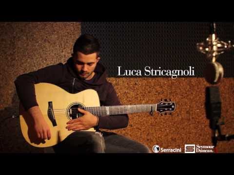 Starlight - Muse - Acoustic Guitar (live) | Luca Stricagnoli