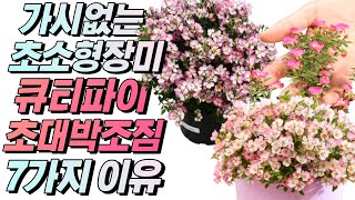 최초공개! 2022 미리보는 차세대 대박 식물 Top 4 (2부)