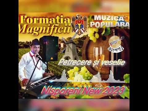 Formația Magnificii Nisporeni New 2023 - Trompeta Sîrba Soltăneștilor. 🎺🎺🎺🎼🎵🇲🇩🎶