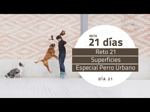 Reto 21 – Superficies