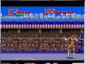 Ultimate Fighter Part 3 The Tournament