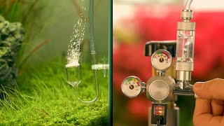 CO2 set Standard DUO s nočným vypínaním s 5l fľašou s príslušenstvom