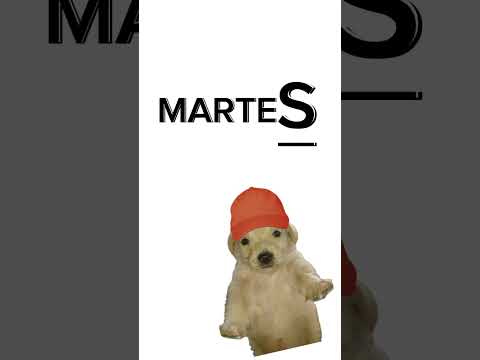 ¿Que días hay que salir de fiesta 🎉?||Creditos del audio: @rubencgg||JUAN_JX