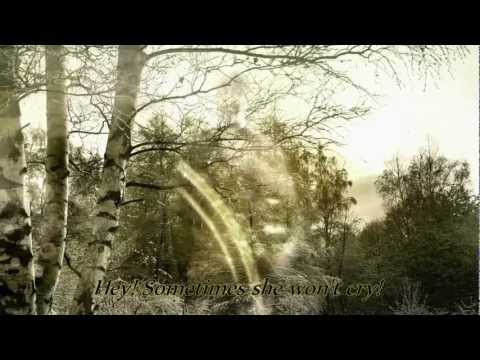 Soundgarden - Bones of Birds - with Lyrics - HD