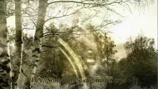 Soundgarden - Bones of Birds - with Lyrics - HD