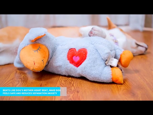 Vídeo relacionado con WEOK Heartbeat Puppy Toy - Almohada cómoda para abrazar, Ayuda calmante para aliviar la ansiedad del Perro, Juguete de Peluche para Perros, Juguete de Latido del corazón para Cachorros, Ayuda para