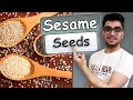 WHAT IS SESAME SEED Sesame Seed 101 How To Use Sesame Seed Sesame Usage