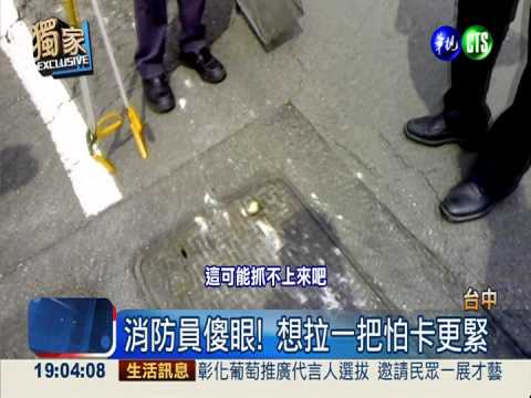 眼鏡蛇卡人孔蓋 進退不得快曬昏