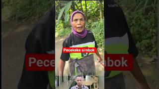 Download lagu pecekekke simbok dijual dua juta setengah surat komplit #shotrs #lucu #ngakak #funny #viral mp3 Download lagu pecekekke simbok dijual dua juta setengah surat komplit #shotrs #lucu #ngakak #funny #viral mp3