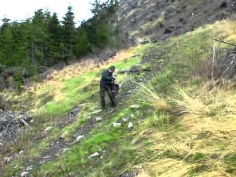 Man attacked by a bird