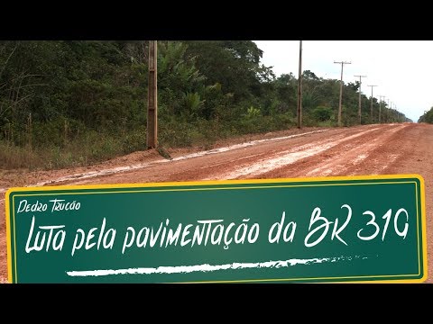 Sonho da rodovia BR 319 pavimentada