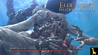 【エルデンリングDLC】#17 SHADOW OF THE ERDTREE 指11本マンを信仰する宗教だった 宿将ガイウス 指の母、メーテール ELDEN LING 字幕実況