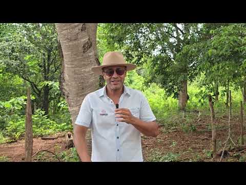 Oportunidade sítio a venda 28 hectares, Arinos - MG, 7 km do asfalto. R$460.000,00