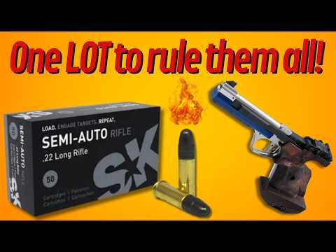 SK Semi-Auto .22lr Accuracy Test – One Lot Shines!🇩🇪