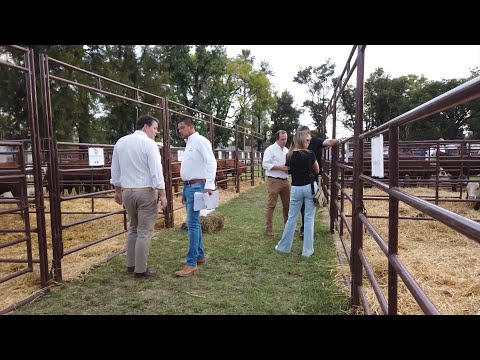 La Cámara de Cabañas Santafesinas y la Coop. Lehmann realizaron el 4° Remate Selección de Vientres