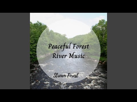 Stream Forest: Peaceful Forest River 1 Hour Music