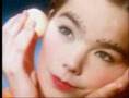 Björk - Venus as a boy 