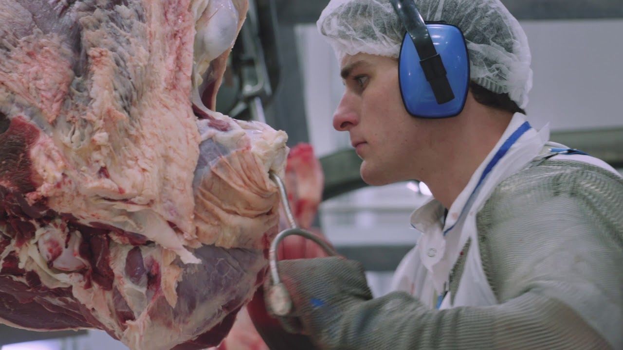 Meat industry essentials