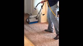 Zerorez carpet cleaning Brushmaster-amazing!
