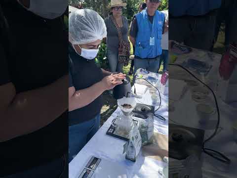 Visita SRSG Miroslav Jenča a los proyectos de café y glamping de firmantes de paz en Timbío, Cauca.