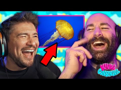 How The US Navy DEFEATED Green Peace With JELLYFISH ft. The Fat Electrician | Kinda Consensual Clips