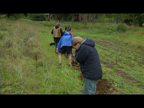 Plog-Glenn!   – Farmen VIP (TV4)