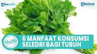 6 Manfaat Konsumsi Seledri untuk Kesehatan Tubuh, Mampu Detoksifikasi hingga Bisa Atasi Asam Urat