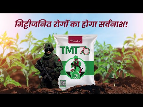 खेती के सरहद पर: एग्रोस्टार टीएमटी 70 का महायोद्धा 🌾🍅#एग्रोस्टारTMT70 #किसान #खेतीकिसान #फसलरक्षक