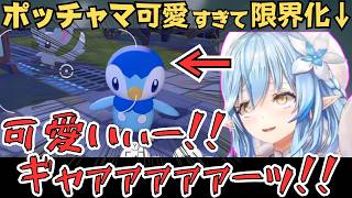 ポッチャマの可愛さに悶えつつもめちゃめちゃ働かせるラミィちゃんが面白すぎたw【雪花ラミィ 切り抜き／ホロライブ／ぽこ あ ポケモン】