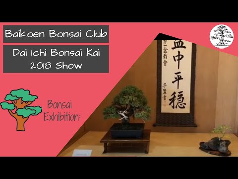 Dai Ichi Bonsai Kai 2018 Show - Baikoen Bonsai Club - Safer @ Home Series