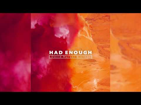 David Meraki & V*Kki - Had Enough