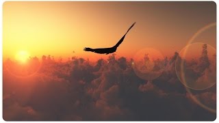 CPM - Following In Footsteps