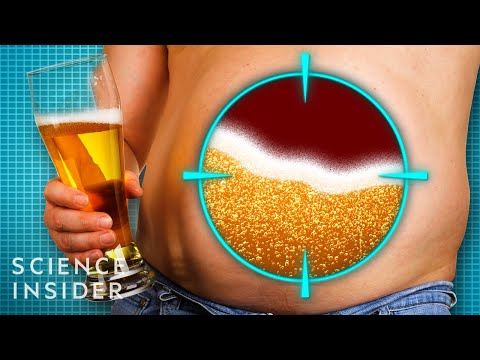 為什麼男人會有啤酒肚？(Why Do Men Get Beer Bellies?)
